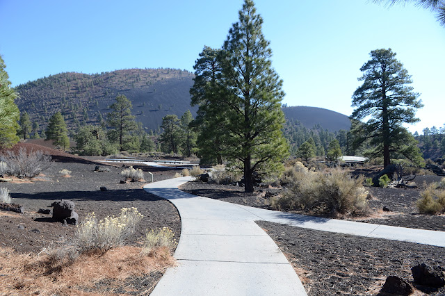 paved trail among trees and lava flow