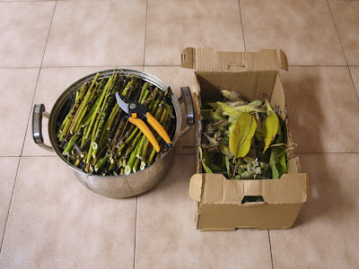 Photograph of stems cut into pieces small enough for my steamer.