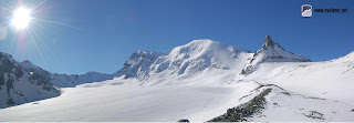 haut glacier d'Arolla - Mont Brulé