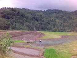 Petani Tradisional