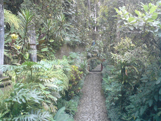 las pozas