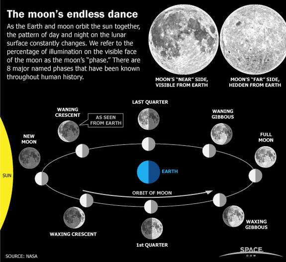 pictures of moon phases in order. 8 moon phases in order. more