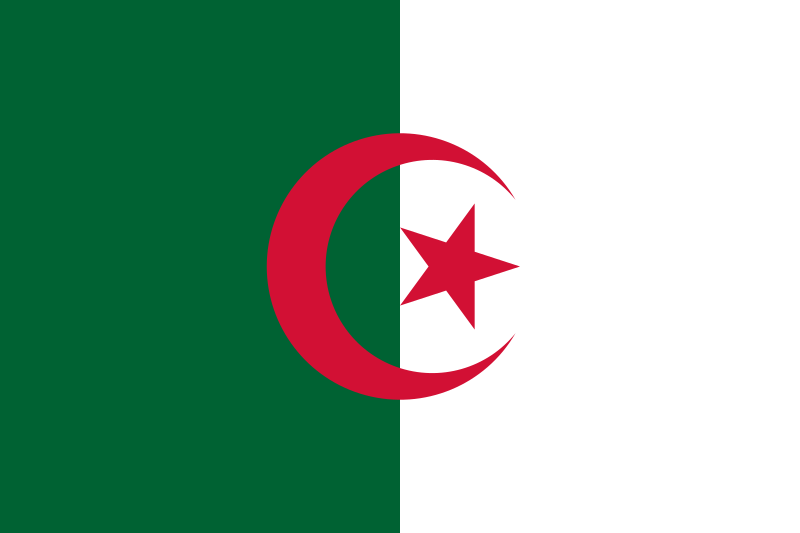 معرض أعلام الدول العربية تعرف على ماذا يرمز لون وشكل علم كل دولة