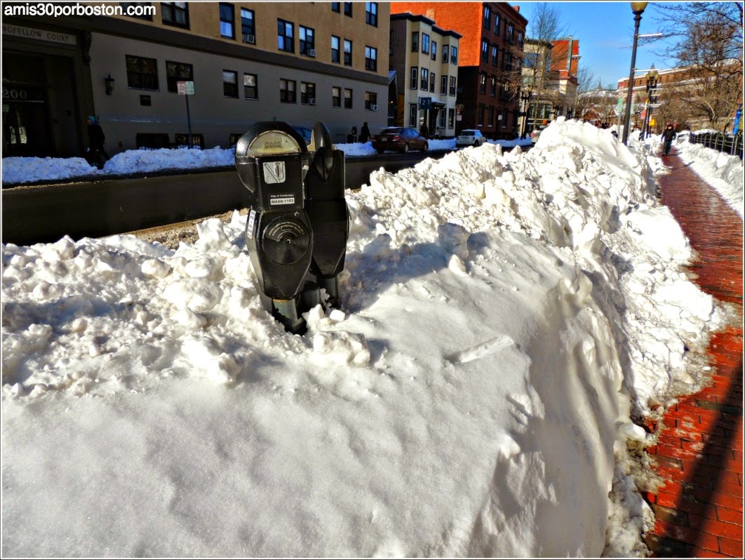 Juno: La Universidad de Harvard después de la Tormenta