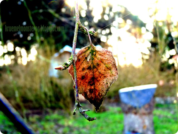 beauty is where you find it  draußen