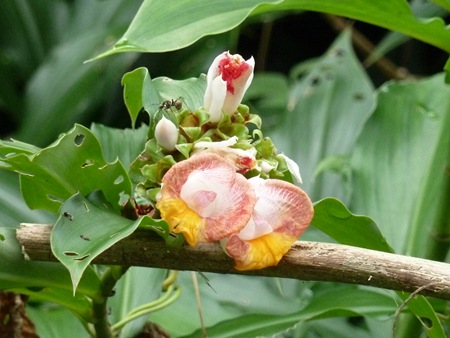 P1020374