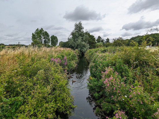 The River Colne at Willows Lakes