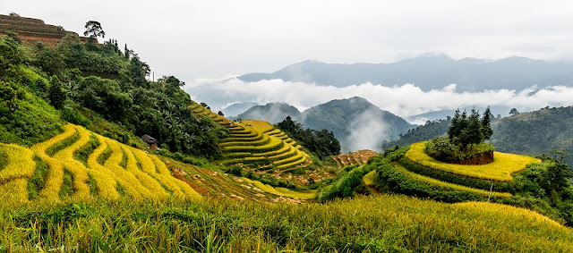 Ha Giang Stone Plateau - One of The Best Vietnam Trekking Tours 1