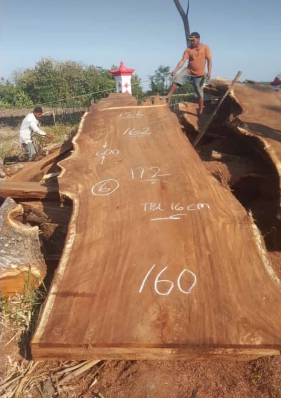 10Ready stock trembesi wood  plain