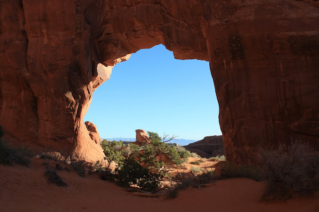 Pine Tree Arch photo