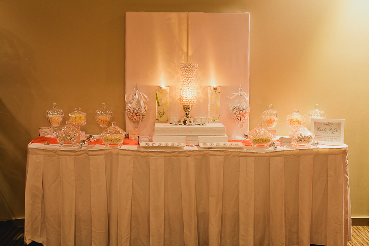 Party Feature Elegant Wedding