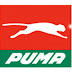 STOCKS ACCOUNTANT WANTED AT PUMA ENERGY BOTSWANA (PTY) LTD