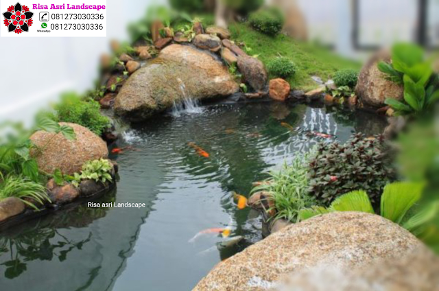 Risa Asri Landscape - Kolam Minimalis, Natural Koi Pond, Kolam Alami, Kolam Air Terjun/Mancur, Kolam Hias Batu Batuan