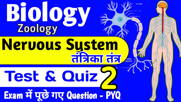 Nervous System Quiz & Test