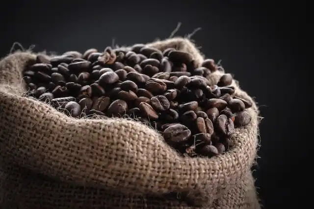 50 Facts About Fair Trade Coffee: Impact and Versatility