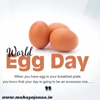 World Egg Day 2023