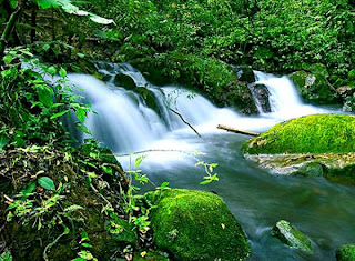 imagen de un lugar de costa rica