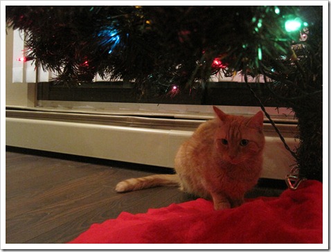 December 094
