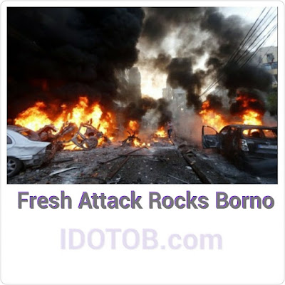 Fresh Bomb Attack Hits Borno State