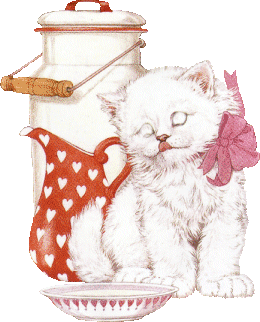 Gif de gato