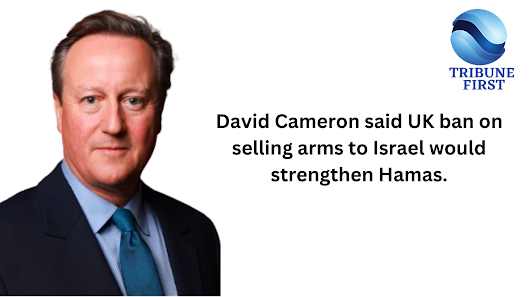 UK arms exports change would make Hamas stronger, says David Cameron