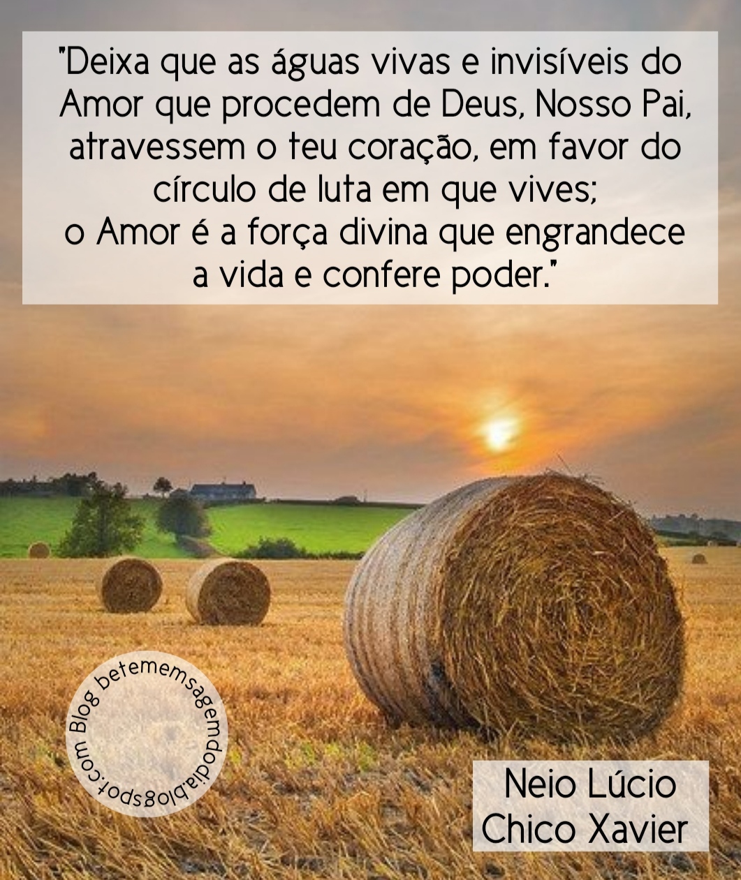 ALEGRIA DE VIVER E AMAR O QUE É BOM!!: DIÁRIO ESPIRITUAL #116 - 01/08 -  Render-se a Deus