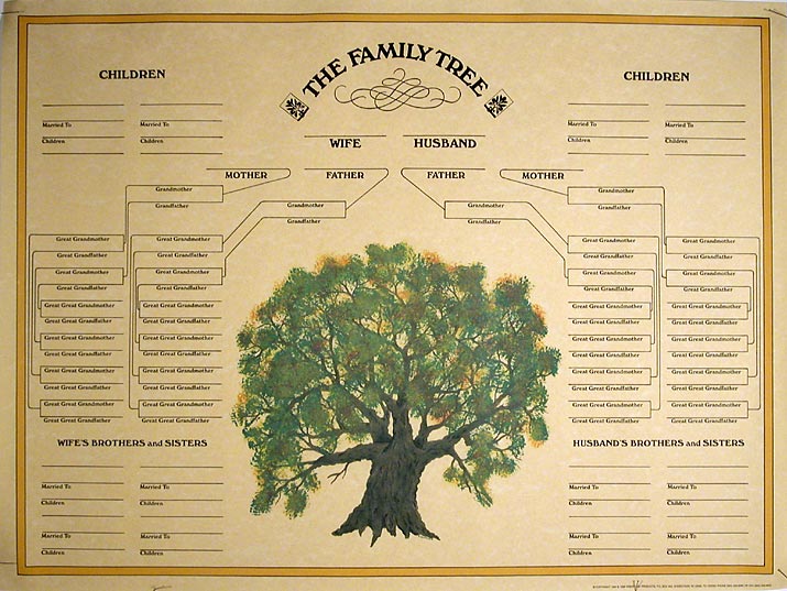 blank family tree template for kids. family history is a page