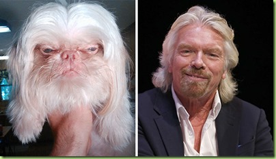 celebrity-look-alikes-animals-7