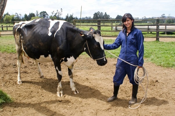 http://www.sena.edu.co/sala-de-prensa/escrita/Paginas/Noticias/SENA-premiara-a-los-mejores-en-practicas-de-agro.aspx