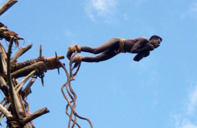 Land Diving In Vanuatu