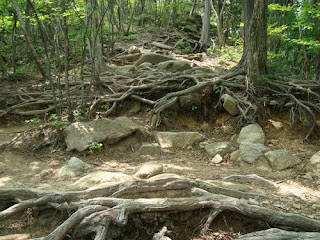 Mount Gozaisho