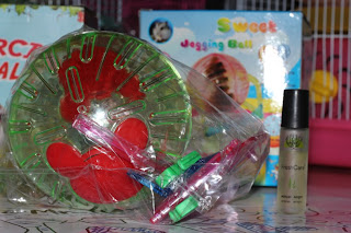 Hamster Ball Jambi