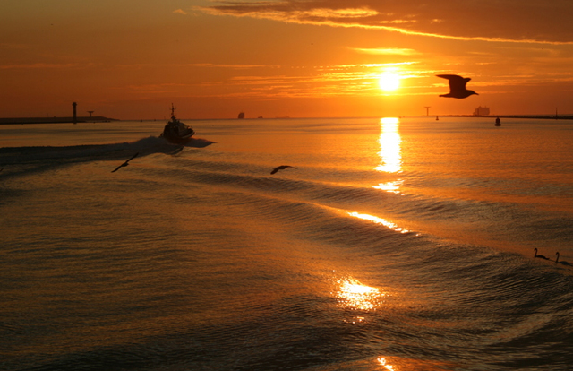 wave speed in water