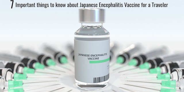 7 Important Things to Know About Japanese Encephalitis Vaccine for a Traveler