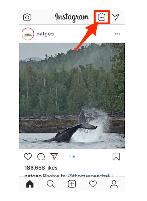 What video format for instagram