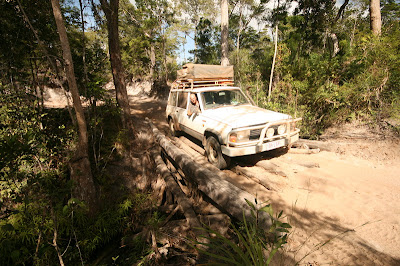 Cypress Creek, Old Telegraph Track, Cape York