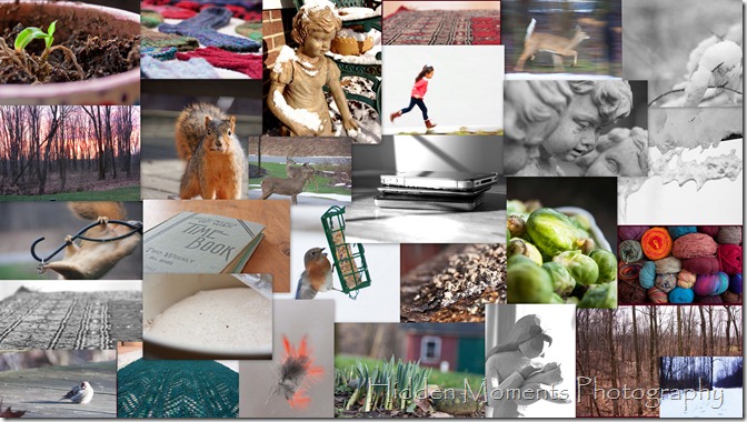 January collage