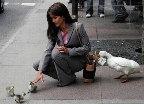 that's not the AFLAC Duck,