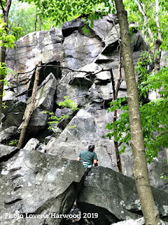 The Shield, rattlesnake rocks, rock climbing, cragging, boston