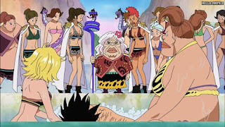 ワンピースアニメ 女ヶ島編 408話 ニョン婆 | ONE PIECE Episode 408