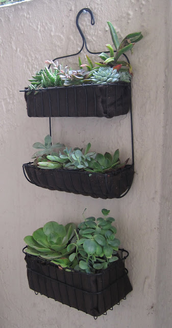 bath organizer to succulent garden