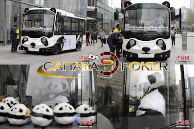 AGEN POKER  - Tiongkok Punya Bus Panda Dengan Sopir Super Imut