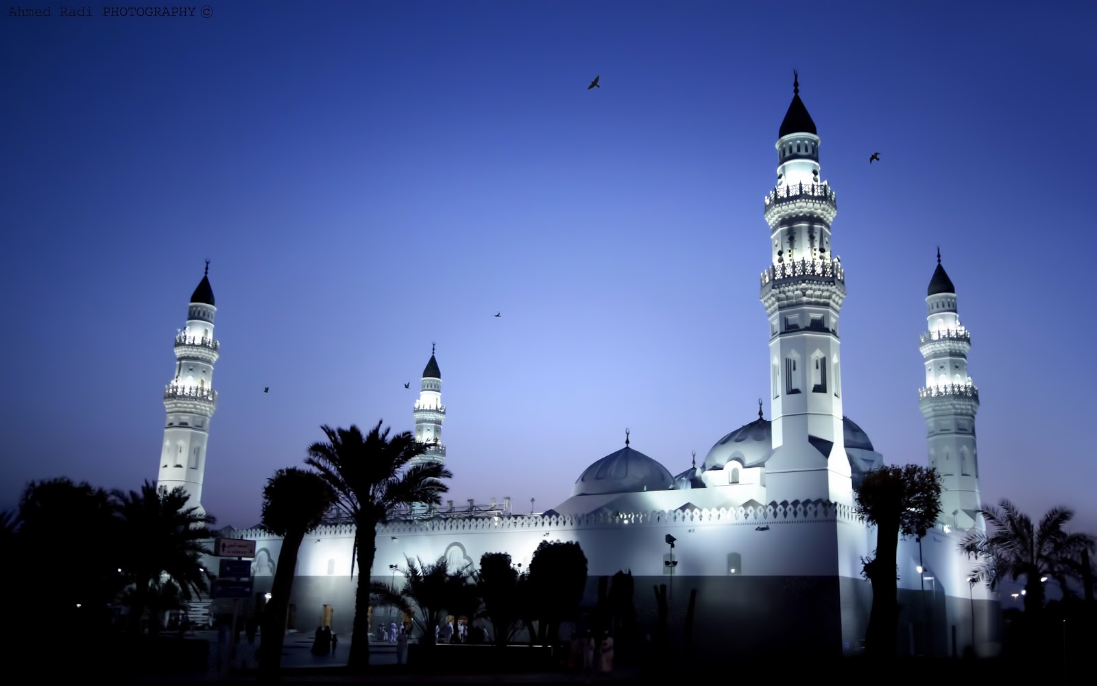 Artikel Tentang Islam: TEMPAT IBADAH AGAMA ISLAM