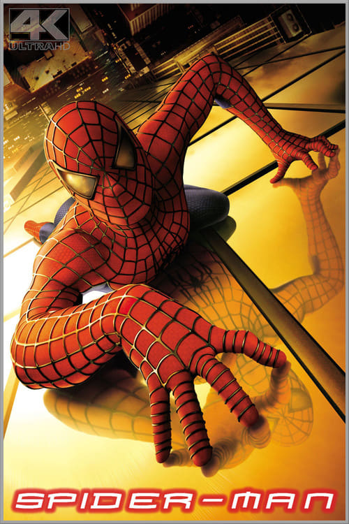 [HD] Spider-Man 2002 Pelicula Completa En Español Castellano