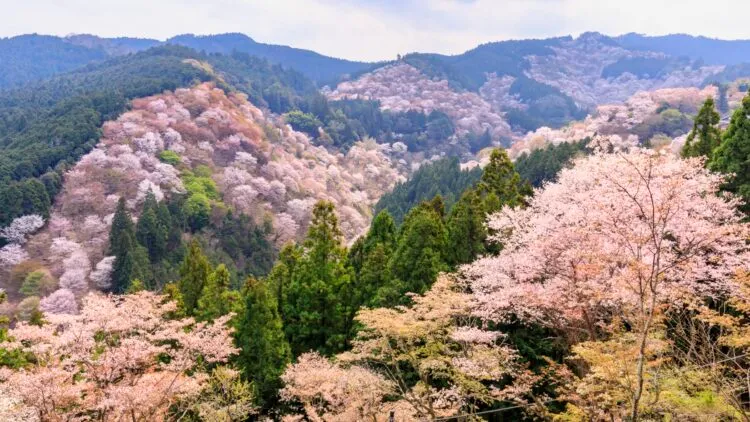 Yoshino-Kumano National Park