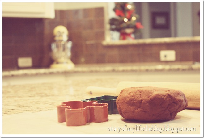 cinnamon ornaments 010-2