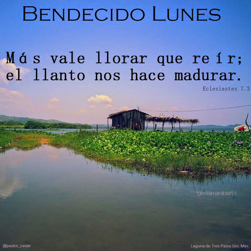 Bendecido Lunes