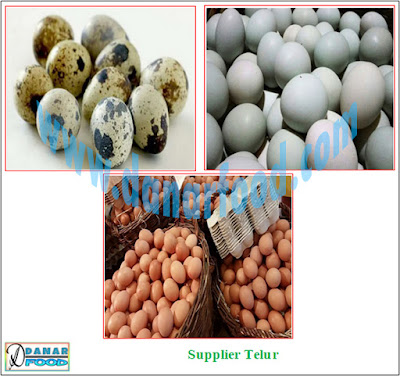 Agen Telur / Reseller Telur / Distributor Telur / Produsen Telur / Supplier Telur / Pabrik Telur / Dealer Telur / Importir Telur / Eksportir Telur / Dropshipper Telur / Industri Telur / Stockist Telur / Perusahaan Telur / Grosir Telur / Kios Telur / Stand Telur / Pemasok Telur / Pedagang Telur / Penyalur Telur / Penyuplai Telur / Toko Telur / Depot Telur / Gerai Telur / Kedai Telur / Penjual Telur / Warung Telur / Jual Telur / Beli Telur / Usaha Dagang (UD) Telur / Perseroan Terbatas (PT) Telur / Commanditaire Vennontschap (CV) Telur / Pengusaha Telur / Juragan Telur / Wirausaha Telur / Wiraswasta Telur / Usahawan Telur / Saudagar Telur / Penjaja Telur / Toko Online Telur / Broker Telur / Bakul Telur / Depo Telur / Depo Waroeng Telur