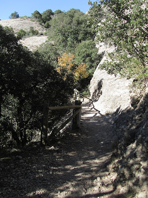 Muntanya de Montserrat, camí de Sant Joan a Sant Jeroni