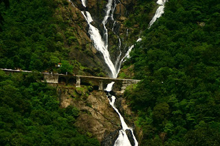 waterfall in goa